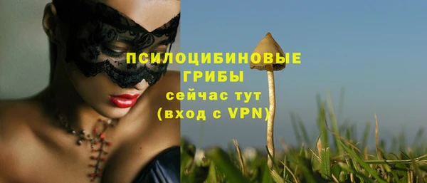 бошки Абинск